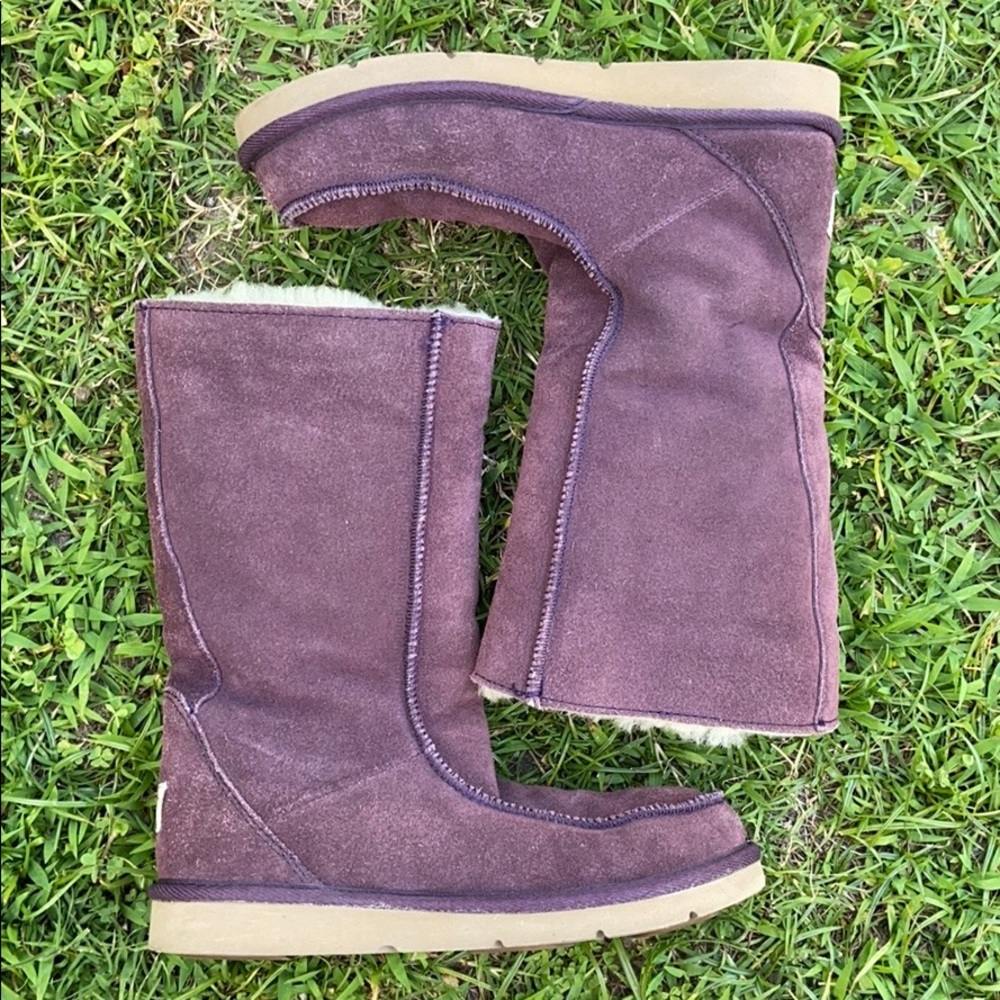 Tall Ugg Boots Purple